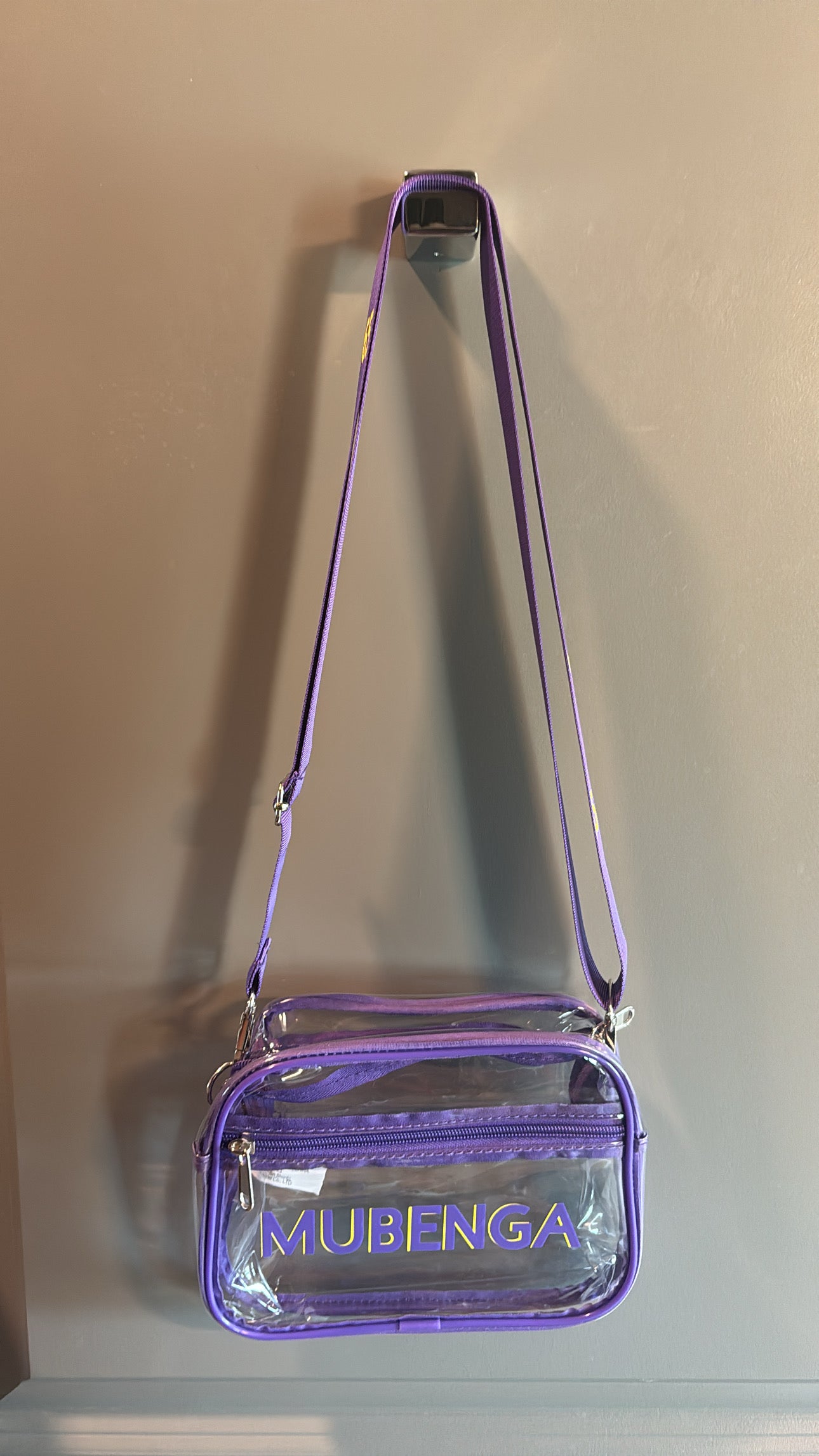 Crossbody Clear Bag